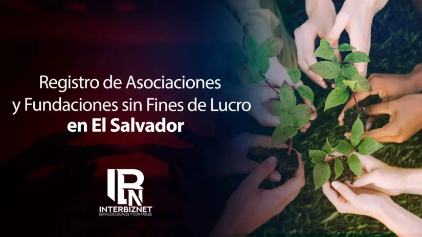 registro de asociaciones y fundaciones sin fines de lucro el salvador